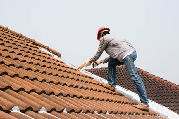 Lake Andes, SD Roofing services Company